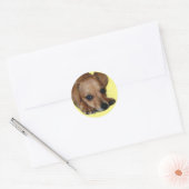 Chiweenie Sticker (Envelop)