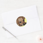 Chiweenie Sticker (Envelop)