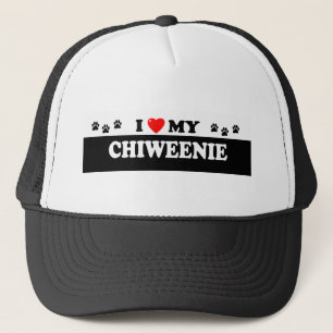 CHIWEENIE TRUCKER PET