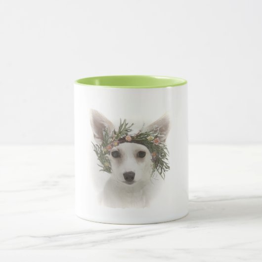 ChiWow! Mok (Midden)