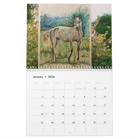 Chloe Dee Noble schildert IERLAND met Kalender 202 (Jan 2026)