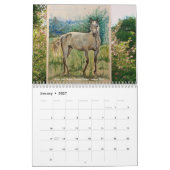 Chloe Dee Noble schildert IERLAND met Kalender 202 (Jan 2027)