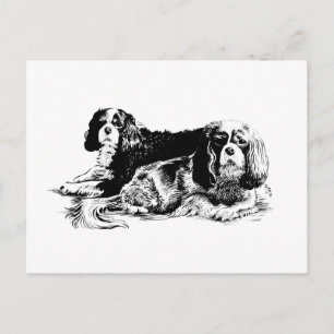 Chloe en Ollie briefkaart