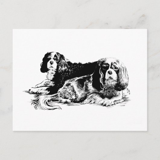 Chloe en Ollie briefkaart (Voorkant)