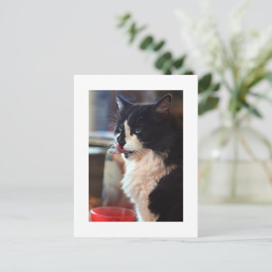 Chloe Licks Briefkaart (Staand voorkant)