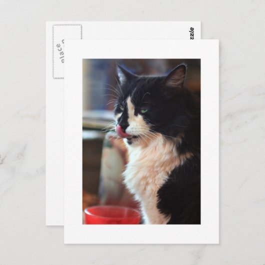 Chloe Licks Briefkaart (Voorkant / Achterkant)