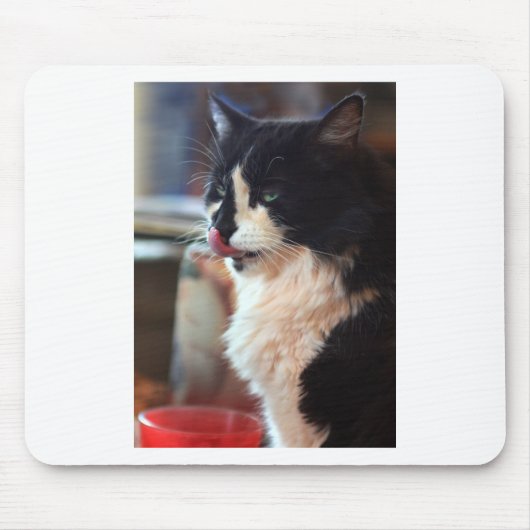 Chloe Licks Muismat (Voorkant)