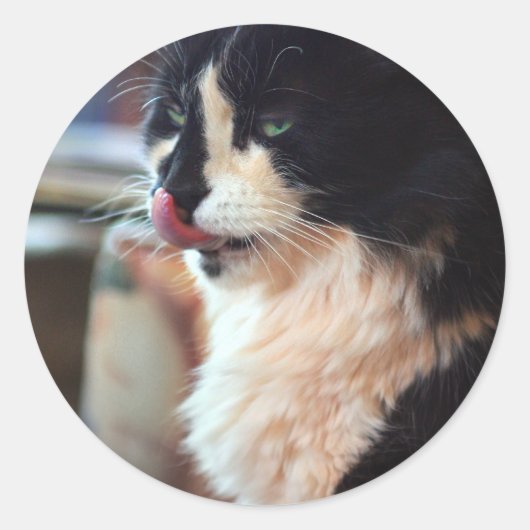 Chloe Licks Ronde Sticker (Voorkant)