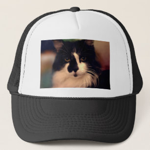 Chloe Painting Trucker Pet