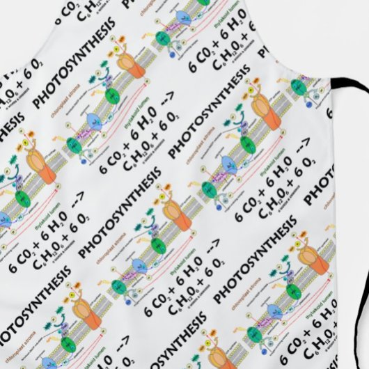 Chloroplast Chemical Formule fotosynthese Schort