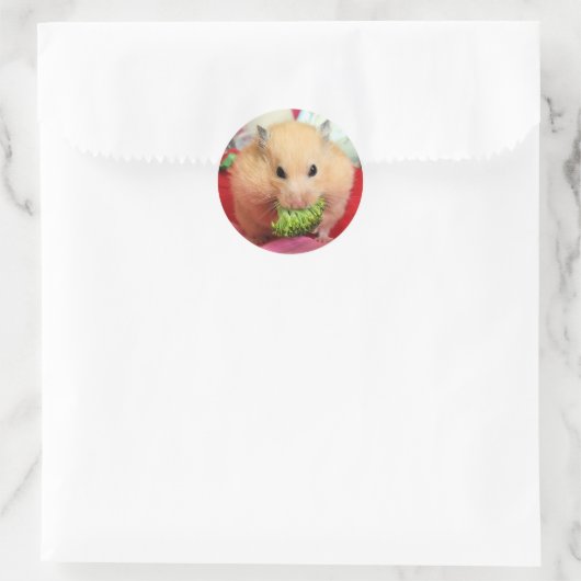 Chmurka en broccoli ronde sticker (Tas)