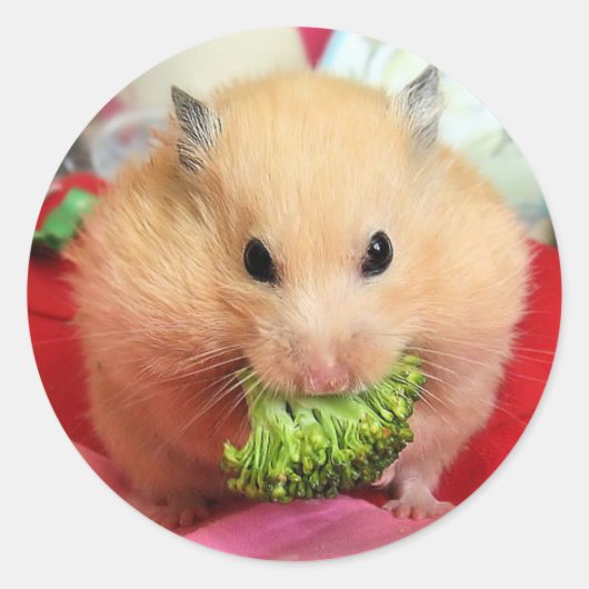 Chmurka en broccoli ronde sticker (Voorkant)