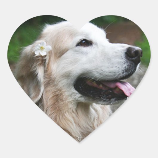 CHO CHO Blad van stickers (Voorkant)