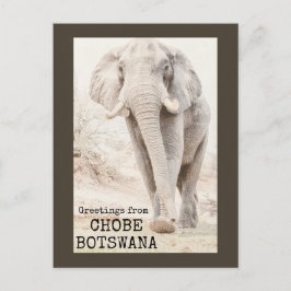 Chobe Botswana Elephant Briefkaart