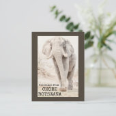 Chobe Botswana Elephant Briefkaart (Staand voorkant)