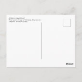 Chobe Botswana Elephant Briefkaart (Achterkant)