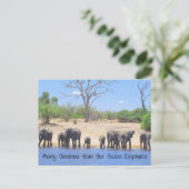 Chobe Elephants Haiku Holiday Post Kaart (Staand voorkant)