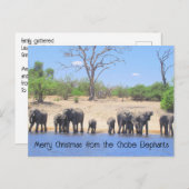 Chobe Elephants Haiku Holiday Post Kaart (Voorkant / Achterkant)