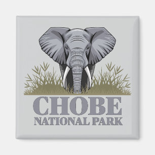 Chobe Nationaal Park Botswana Magneet