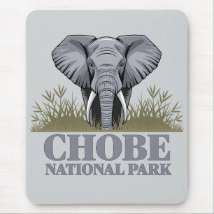 Chobe Nationaal Park Botswana Muismat