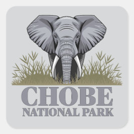 Chobe Nationaal Park Botswana Vierkante Sticker