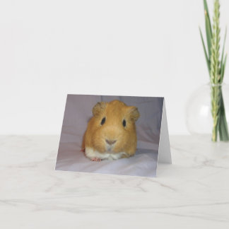 ChoCho Notecard Kaart