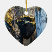 Chockstenen in Maligne Canyon - Alberta, Canada Keramisch Ornament (Voorkant)