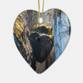 Chockstenen in Maligne Canyon - Alberta, Canada Keramisch Ornament (Links)