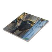 Chockstenen in Maligne Canyon - Alberta, Canada Tegeltje (Zijkant)