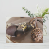 Choco cake (Staand voorkant)