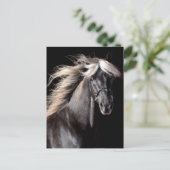 Choco Rocky Mountain Horse Briefkaart (Staand voorkant)