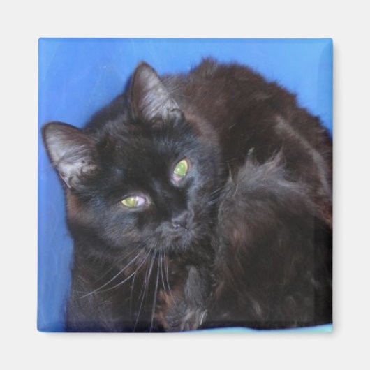 CHOCOLAAT KAT MAGNEET (Voorkant)