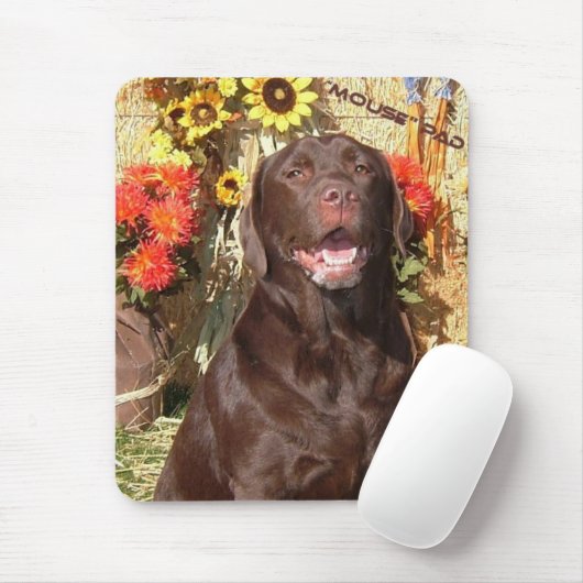 CHOCOLAAT LAB MOUSEPAD MUISMAT (Met muis)