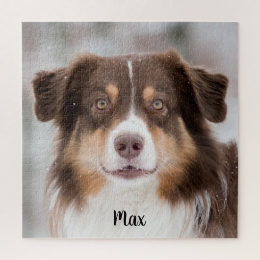 Chocolade Australian Shepherd Puppy Dog Legpuzzel (Verticaal)