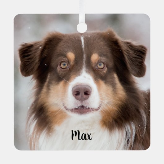 Chocolade Australian Shepherd Puppy Dog Metalen Ornament (Voorkant)