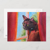 Chocolade Black Cat met gordijnen Briefkaart (Voorkant / Achterkant)