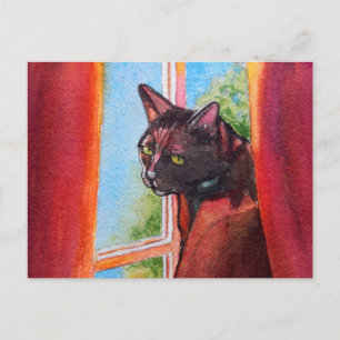 Chocolade Black Cat met gordijnen Briefkaart