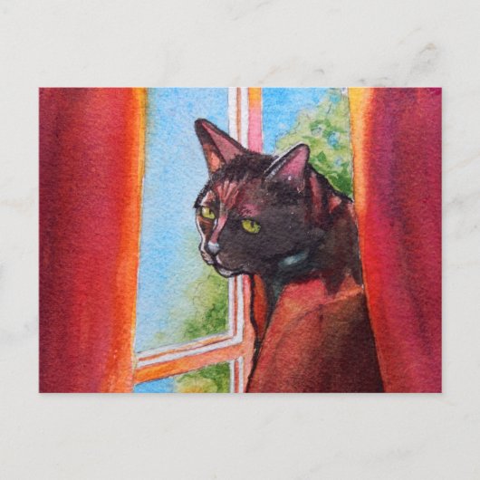 Chocolade Black Cat met gordijnen Briefkaart (Voorkant)