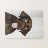 Chocolade Brown Lab Puppy Legpuzzel (Horizontaal)
