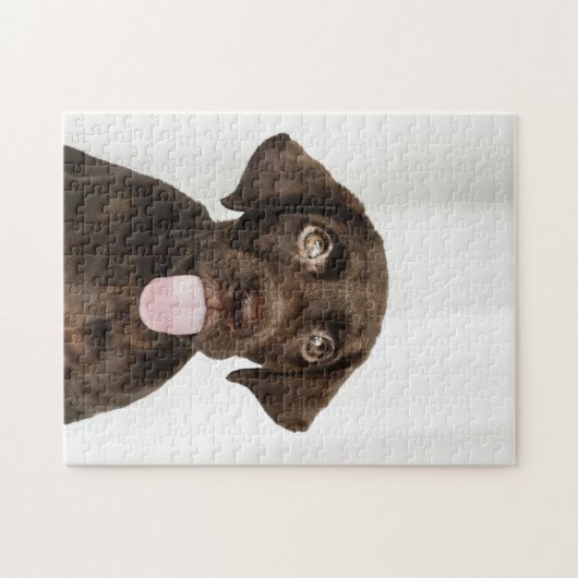 Chocolade Brown Lab Puppy Legpuzzel (Horizontaal)