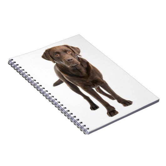 Chocolade Brown Labrador Retriever Puppy notebook Notitieboek (Rechterzijde)