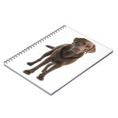 Chocolade Brown Labrador Retriever Puppy notebook Notitieboek (Linkerzijde)