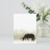 Chocolade bruin paard in de mist briefkaart (Staand voorkant)