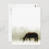 Chocolade bruin paard in de mist briefkaart (Voorkant / Achterkant)