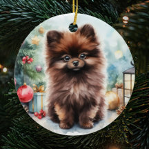 Chocolade Bruin Pommerse Puppy Kerstmis