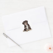 Chocolade Bruin & Wit Havanese Puppy Dog Sticker (Envelop)