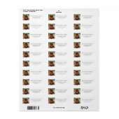 Chocolade Bruine Pomeranian Kerst Adres Etiket (Full Sheet)