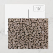 Chocolade Chip Briefkaart (Voorkant / Achterkant)