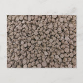 Chocolade Chip Briefkaart (Voorkant)