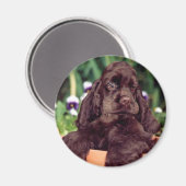 Chocolade cocker magneet (Voorkant / Achterkant)